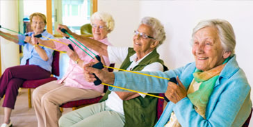 Wellness Activities
